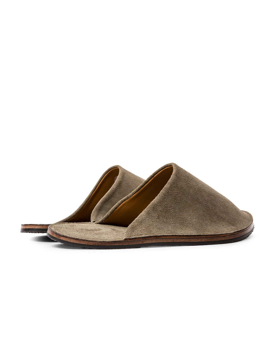 Slide - Clove Eco Veg Roughout