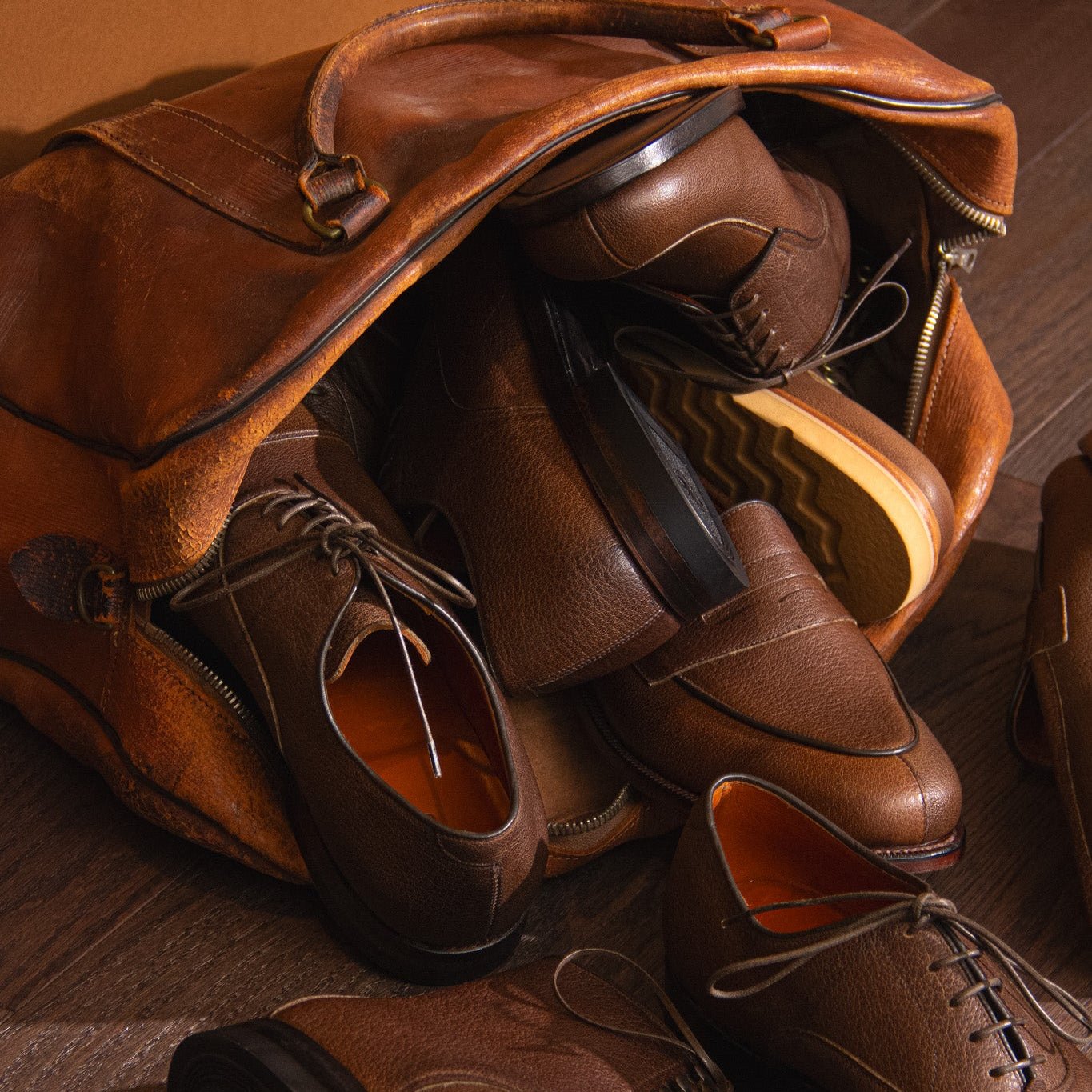 Bristol - Noisette Tanganiyka - VIBERG